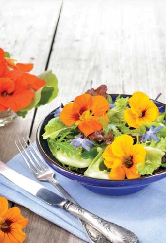 Edible Flowers and Herbs for Digestion